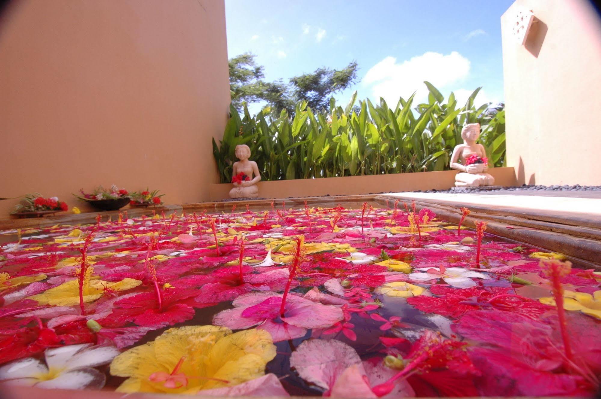 Mariana Resort & Spa San Roque Εξωτερικό φωτογραφία